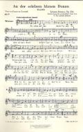 An der schönen blauen Donau op. 314 