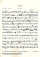 Concerto D-Dur op. 10/3 RV 428/PV 155 Standard