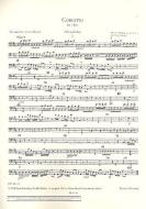 Concerto D-Dur op. 10/3 RV 428/PV 155 Standard