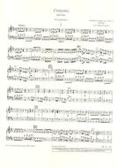 Concerto D-Dur op. 10/3 RV 428/PV 155 Standard
