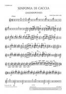 Sinfonia di caccia G-Dur 