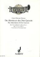Die Abenteuer des Don Quixote 