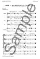 There Is No Speech or Language 