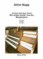 Wie schön leucht' uns der Morgenstern (Orgel) 