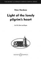Light Of Lonely Pilgrims Heart 