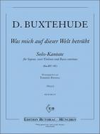 Was mich auf dieser Welt betrübt 