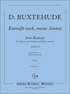 Entreiss euch meine Sinnen 