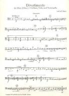 Divertimento 