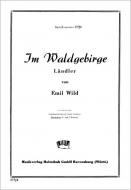 Im Waldgebirge 