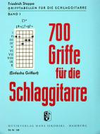 700 Griffe für die Schlaggitarre 