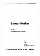 Blauer Enzian 