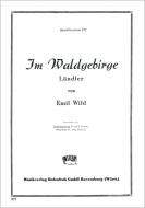 Im Waldgebirge 