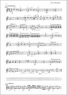 Divertimento für Akk., Git., C-Blfl. 