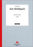 Am Wildbach 