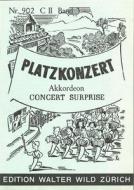 Platzkonzert 3 