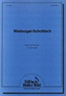 Waldvogel-Schottisch 