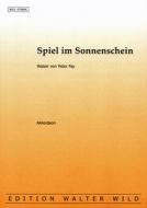 Spiel im Sonnenschein 