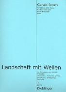 Landschaft mit Wellen für Akkordeon und kleines Ensemble 