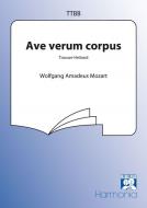 Ave verum Corpus / Trouwe Heiland 
