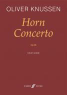 Horn Concerto op. 28 
