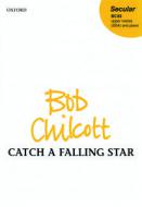 Catch A Falling Star 