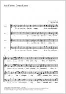 Jesu Christe, Gottes Lamm 