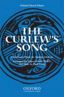 The Curlew's Song 