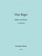 Blätter und Blüten 