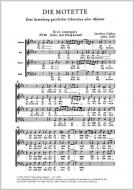 Ecce, concipies et paries filium 