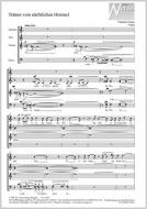 Tränen vom nächtlichen Himmel Standard