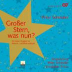 Großer Stern, was nun? 