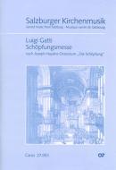Schöpfungsmesse in A-Dur nach Joseph Haydn 