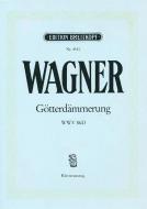 Die Götterdämmerung 