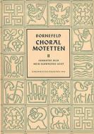 Ermuntre dich, mein schwacher Geist BoWV36 