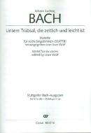 Unsere Trübsal, die zeitlich und leicht ist 