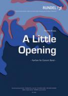 A Little Opening 