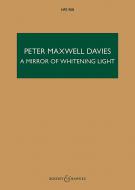 Mirror of Whitening Light 