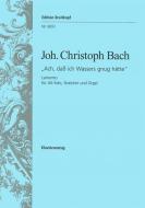 Lamento 'Ach, dass ich Wassers gnug hätte' 