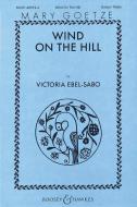 Wind On The Hill 