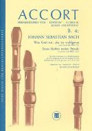 Zwei Choralbearbeitungen 