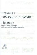 Phantasie (nach Motiven eines Schubert Fragmentes) 