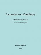 Ländliche Tänze op. 1 "Es wollt einmal im Königreich" 