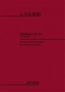 Sinfonia In Re 'Veneziana' per Orchestra da Camera 