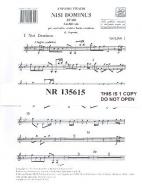 Nisi Dominus RV 608 Salmo 126 per C. e Orchestra 