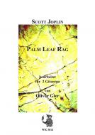 Palm Leaf Rag 