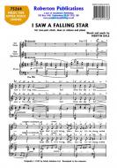 I Saw A Falling Star 