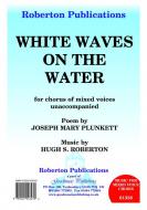 White Waves On The Water 