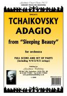 Adagio from Sleeping Beauty 