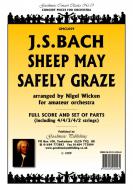 Schafe können sicher weiden 