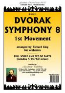 Symphony 8 (1st Movement) 